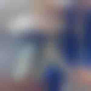 Teleskop-staubwedel | ARTICLEAN