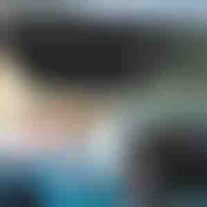 Auto-Sonnenschutzschirm | SHADESHELLA