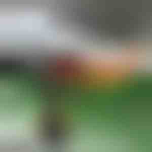 Autoheizung und Scheibenentfroster | TURBOCUP