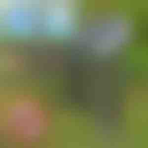 Solarer Schädlingsbekämpfer | SOLGUARD