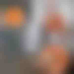 360 Grad drehbarer, einstellbarer Reinigungsmopp | CORALMOP