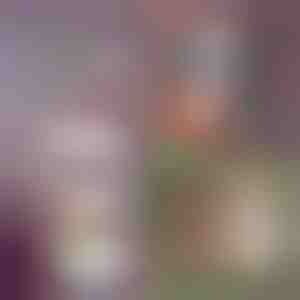 5-lagige klappbare Lagerregale | FOLDWAY