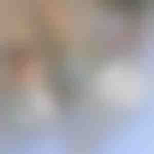 Reparaturband für Moskitonetze | INSECTAPE