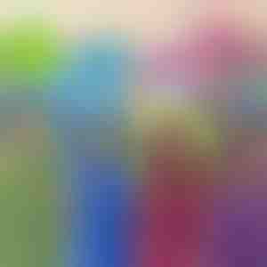 Spielzeug, Kissen & Pulli | PILLOWPET