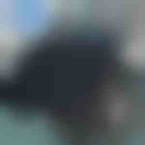 Drehbares Sitzkissen | SPINPAD