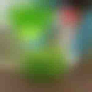 Halten Sie Schädlinge fern mit VEGISHIELD (10 Stück)