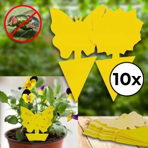 Klebefliegenfallen (10 Stk.) | BUGILURE