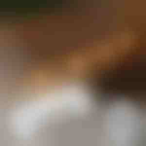 20x selbstklebende Clips zur Befestigung von Lichtern | CORDCLIP