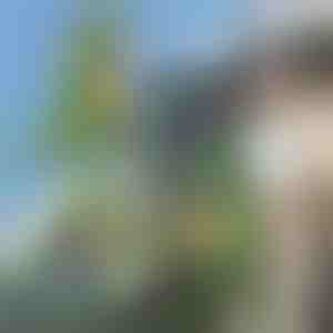 3D-Rucksack in Dinosaurier-Form | DINOBACK