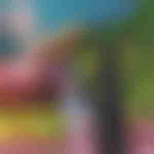 Fliegenabwehr-Ventilator – keine Chemikalien, keine Sprays, hält Fliegen von Lebensmitteln und Tischen fern | FLYBEGONE