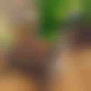 Kompakter tragbarer Klappgrill | PORTOGRILL