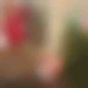 Weihnachtsmann mit Fallschirm | SANTASWING