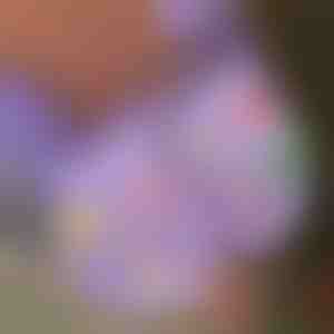 Weihnachtliche leuchtende Schuh-Anhänger (7 Stück) | SHINETAGS