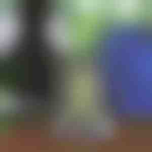 Unisex-Kordelzug-Rucksack | STRIPEBACK