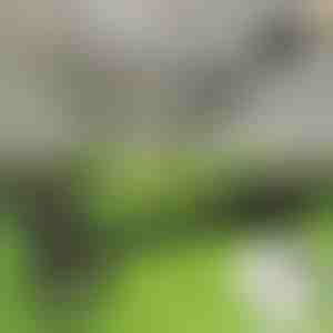 Unkrautentferner für das Arbeiten im Stehen | RUNCO