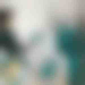 Mini-Dampfbügeleisen | FERROLITE