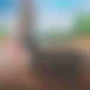 Leicht zu packende Reisetasche | FOLDARA