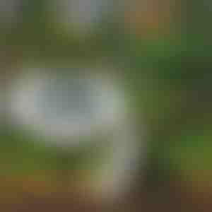 Solar-Bodenleuchten für den Außenbereich (3 Stück) | LUMIGARD