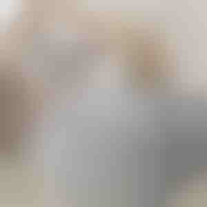 Platzsparender Organizer mit Selbstkompression | PACKMAX