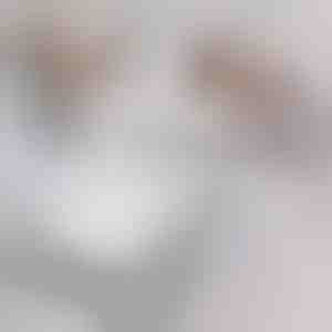 Ergonomisches Kopfkissen | RESTIZINKA