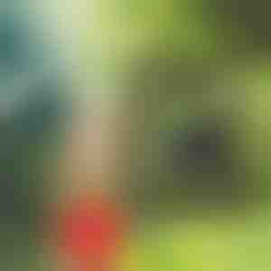 Solar-Campingdusche mit integriertem Thermometer (20L) | SHOWDY