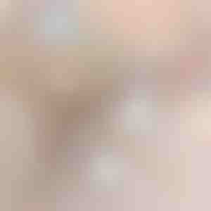 2-in-1 kabelloser Staubsauger und Wischmopp | VACUSTICK