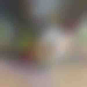 12-in-1 Gemüseschneider & -hacker (inkl. 7 Klingen) | CHOPMASTER