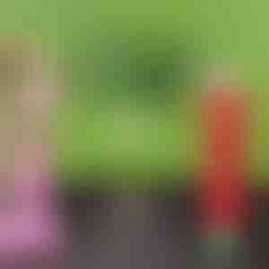 Organischer Langzeitdünger in Tablettenform | FERTIGROW