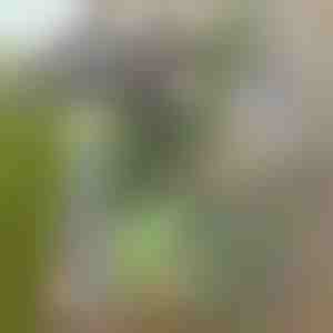 Gartenhacke für mühelose Unkrautentfernung | GRASSOE