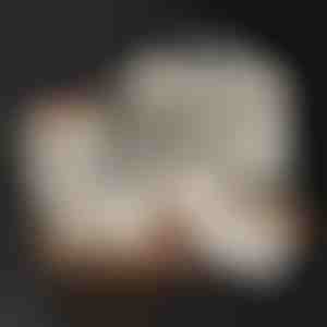 Vorratsbehälter-Set | LUNCHIO