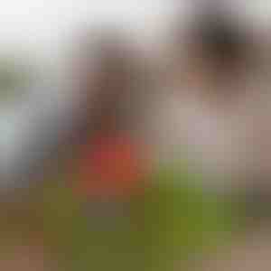 Magnetische Mini-Bastelwürfel (48 Stück) | MAGCRAFTI