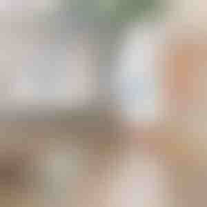 Elektrische rotierende Reinigungsbürste | ROTOBRUSH