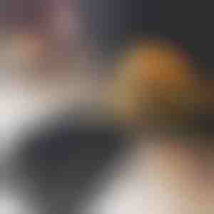 Hamburger-Patty-Maschine | BURGIPRESS