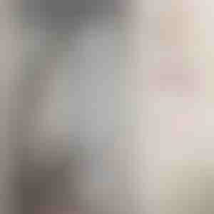 Magnetisches Moskitotürnetz | INSECTPROTECT