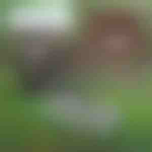 Multifunktionales Gartengerät für die Bodenpflege | PRONGSPRO