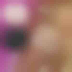 Damen Blumen-Spitzen-Slips (3er-Pack) | LACEY