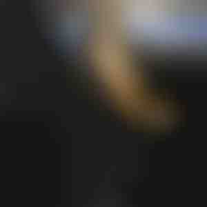 Gepolsterter Autositzbezug für alle Autos | CUSHYRIDE