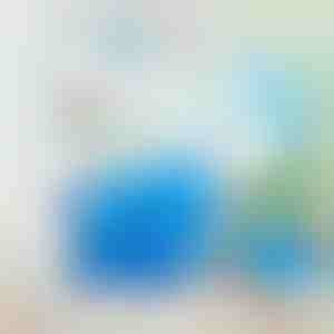 360° drehbare elektrische Staubbürste | DUSTER