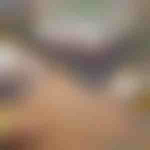 Zusammenklappbarer und tragbarer Grill | GRILLOMATE