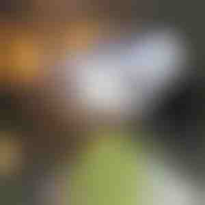 Solarleuchte mit Bewegungssensor | LUMACAM