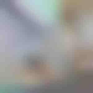 Dekorative Fenster- und Sichtschutzfolie | PRISMWRAP