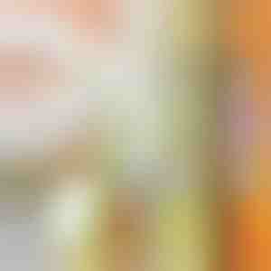 Mehrzweckschneider | SLICEWISE