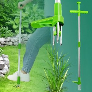 Ein Werkzeug zum Entfernen von Unkraut | SPINOUT