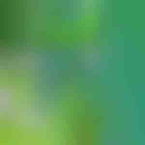 Ein Werkzeug zum Entfernen von Unkraut | SPINOUT