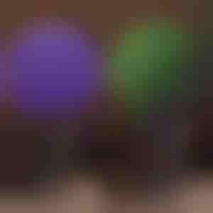 Dekorative Pflanzenkugel | TOPIORB