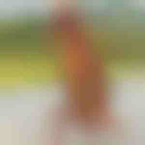 Aufblasbares Dinosaurierkostüm | TREXCOS