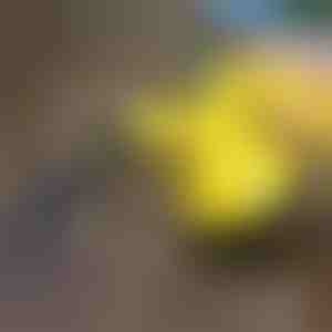 Dampfreiniger zur Desinfektion | VAPERO