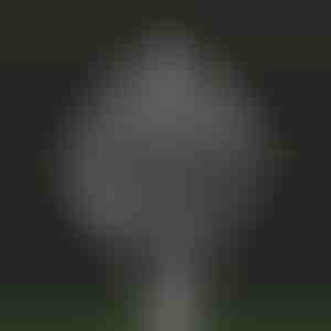 Kinetische Windmühle für den Gartenzauber | WINDARA