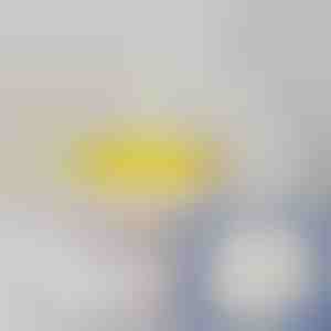 (5 Stück) Selbstklebende Backsteintapete mit 3D-Muster | BRICKSBY