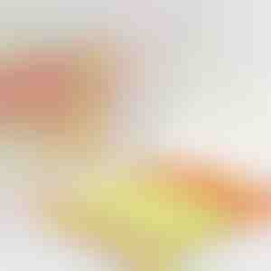 Jalousienreiniger, der die Reinigungszeit halbiert | BLINDY